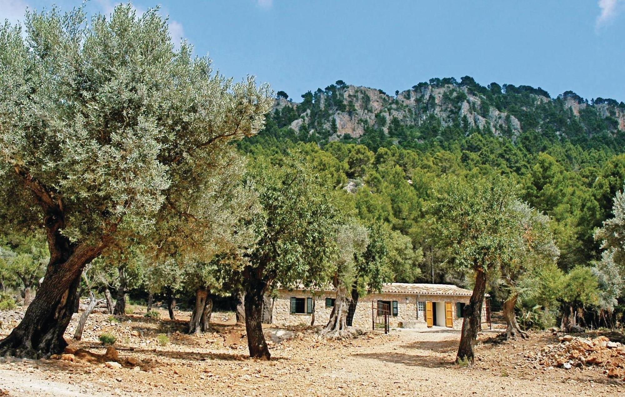 Vakantiehuis Stunning In With Jacuzzi Estellencs (Mallorca)